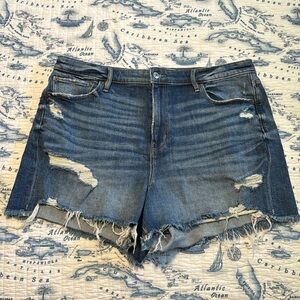 American Eagle outfitters AEO 90’s Boyfriend short size 16 stretch medium wash